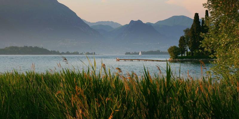 P4可编程交换芯片：用软件开发思维重塑数据中心网络与应用感知