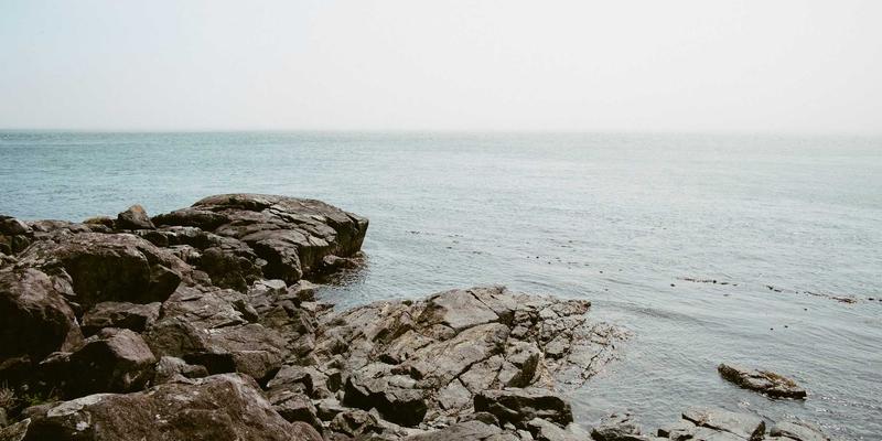 YT725网络技术：软件开发新时代的融合引擎