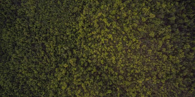 从编程视角解析零信任架构：YT725技术博客分享企业内网安全实施路径