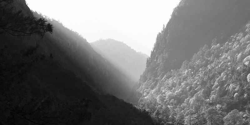 构建智能安全防线：基于AI的网络流量异常检测与自动化响应机制（YT725 IT解决方案深度解析）