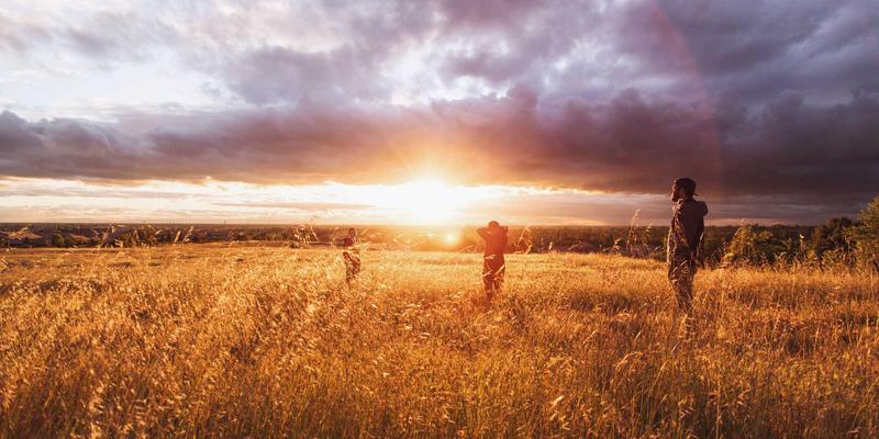 物联网通信协议深度解析：MQTT、CoAP与LoRaWAN的编程实践与IT解决方案