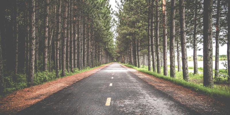 网络可观测性：从传统监控到全链路追踪的演进与实践