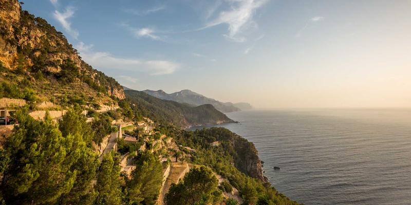 网络技术34与YT725：驱动数字化转型的新一代IT解决方案