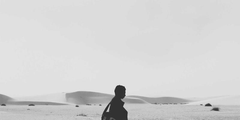 网络技术52：编程、技术博客与软件开发的融合进化