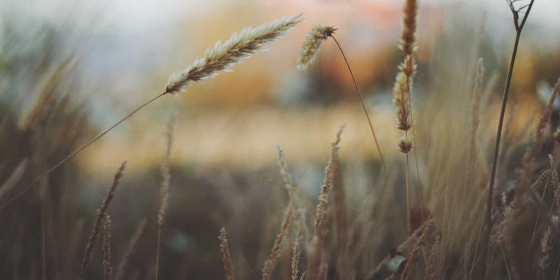 网络技术57：软件开发者的技术博客进阶指南