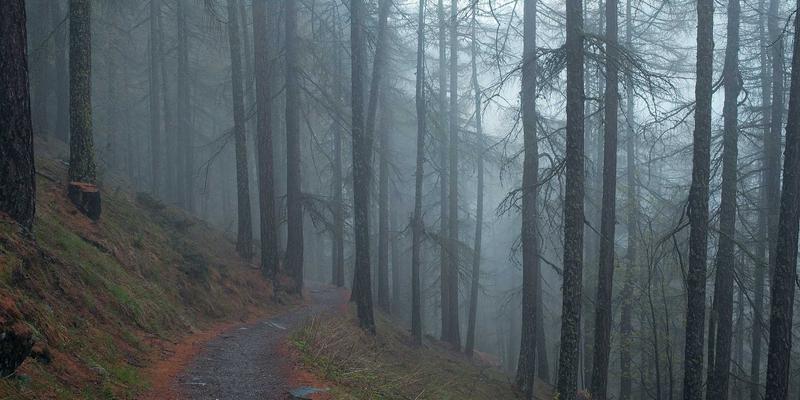 网络技术67：解码现代IT解决方案与高效技术博客的共生之道