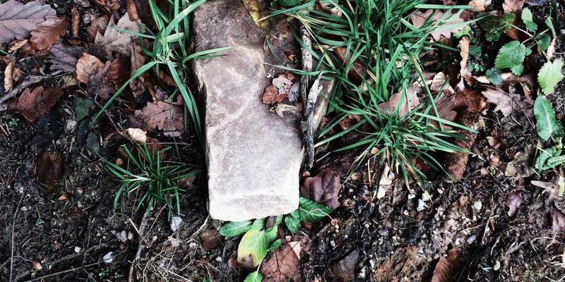 网络技术79：从编程基础到技术博客的进阶之路