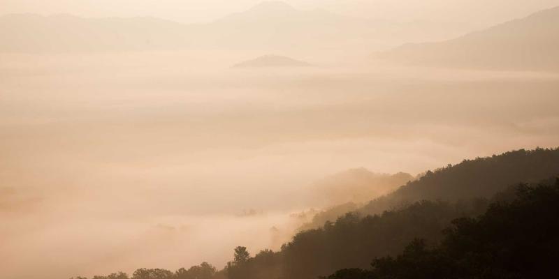 网络技术86：从YT725协议解析到现代编程实践的技术演进