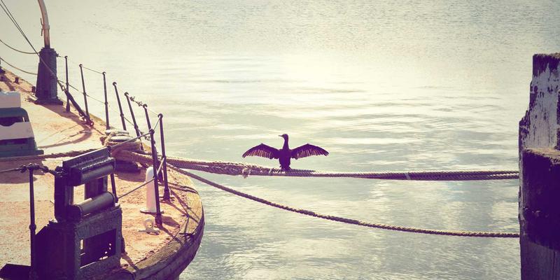 网络技术99：以YT725为例，探索高效IT解决方案的技术博客实践