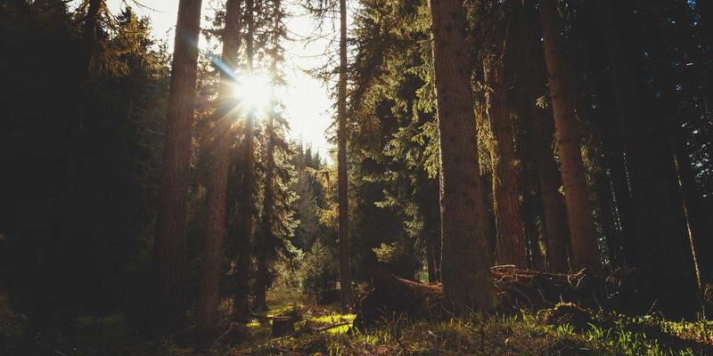 网络遥测技术实现与全栈可视性保障：YT725框架下的软件开发实践