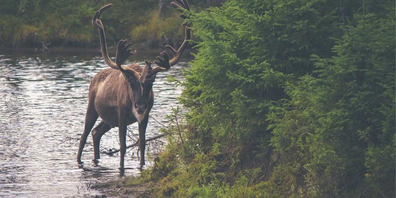 解密超融合基础设施中的网络虚拟化：YT725驱动的IT解决方案与网络技术创新