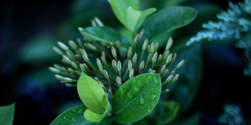 软件开发技术栈深度对比：如何为你的项目选择最佳IT解决方案