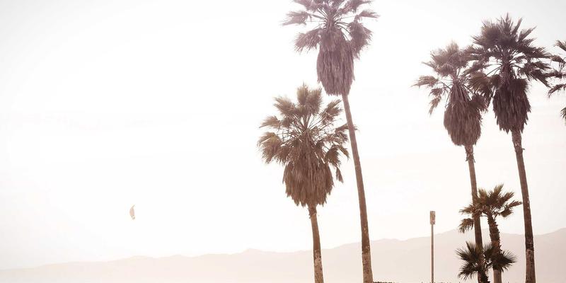 软件开发新范式：SD-WAN与SASE融合如何重塑IT解决方案